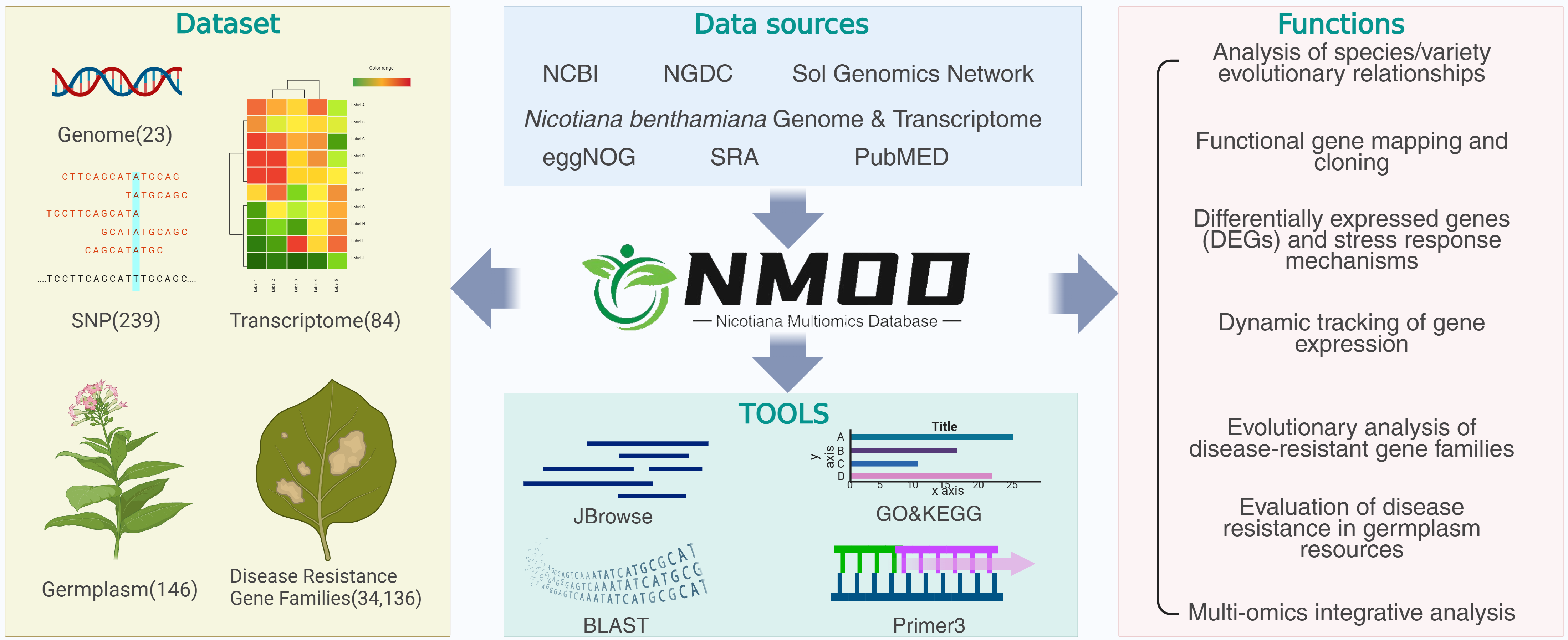 Graphical Abstract of Nicotiana Multiomics Database